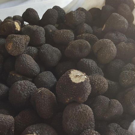 阿尔卑斯Les Burons别墅 外观 照片